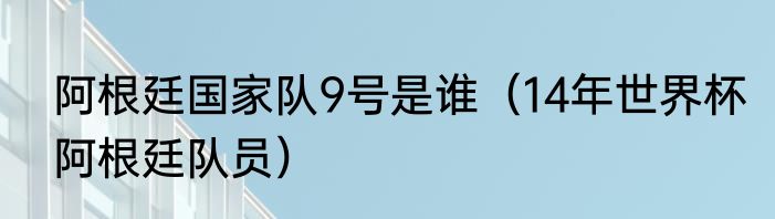 阿根廷国家队9号是谁（14年世界杯阿根廷队员）
