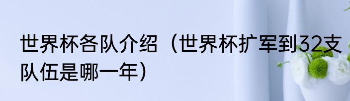 世界杯各队介绍（世界杯扩军到32支队伍是哪一年）