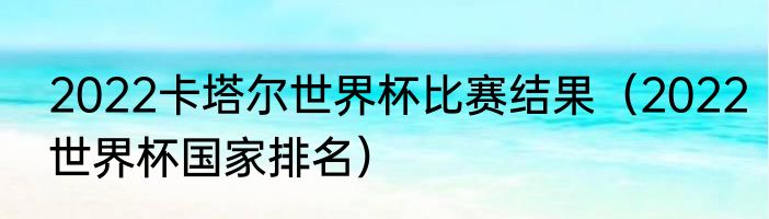2022卡塔尔世界杯比赛结果（2022世界杯国家排名）