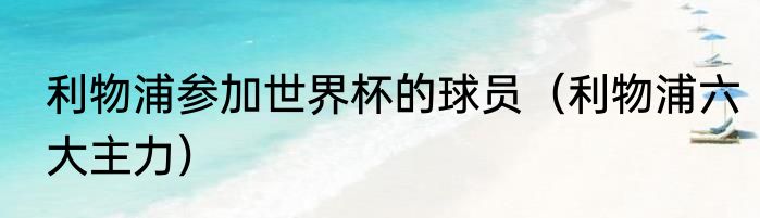 利物浦参加世界杯的球员（利物浦六大主力）