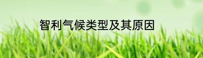 智利气候类型及其原因