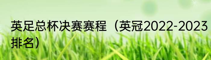 英足总杯决赛赛程（英冠2022-2023排名）
