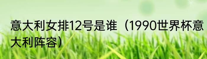 意大利女排12号是谁（1990世界杯意大利阵容）