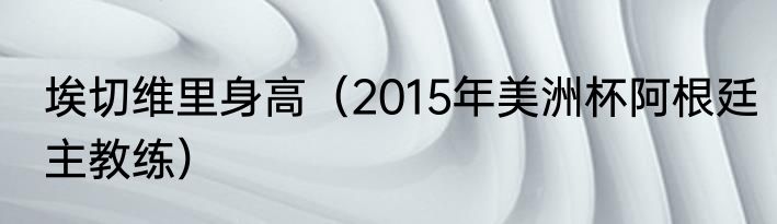 埃切维里身高（2015年美洲杯阿根廷主教练）