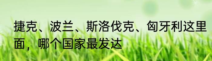 捷克、波兰、斯洛伐克、匈牙利这里面，哪个国家最发达