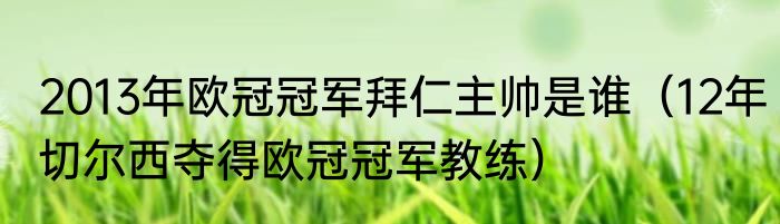 2013年欧冠冠军拜仁主帅是谁（12年切尔西夺得欧冠冠军教练）