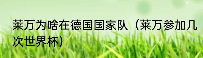莱万为啥在德国国家队（莱万参加几次世界杯）