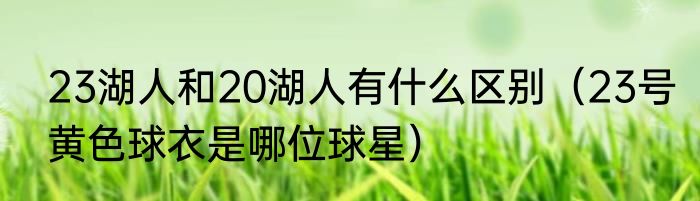 23湖人和20湖人有什么区别（23号黄色球衣是哪位球星）