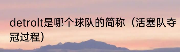 detrolt是哪个球队的简称（活塞队夺冠过程）