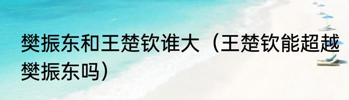 樊振东和王楚钦谁大（王楚钦能超越樊振东吗）