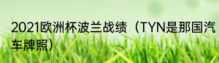 2021欧洲杯波兰战绩（TYN是那国汽车牌照）