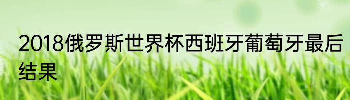 2018俄罗斯世界杯西班牙葡萄牙最后结果