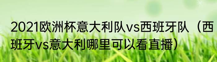 2021欧洲杯意大利队vs西班牙队（西班牙vs意大利哪里可以看直播）