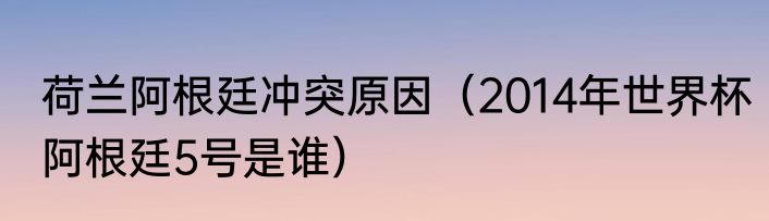 荷兰阿根廷冲突原因（2014年世界杯阿根廷5号是谁）