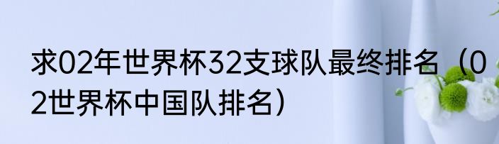 求02年世界杯32支球队最终排名（02世界杯中国队排名）