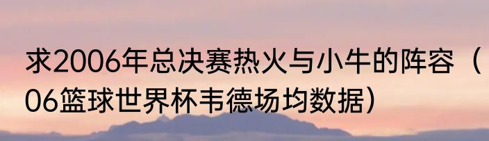 求2006年总决赛热火与小牛的阵容（06篮球世界杯韦德场均数据）