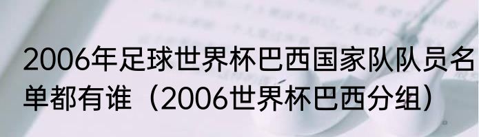 2006年足球世界杯巴西国家队队员名单都有谁（2006世界杯巴西分组）