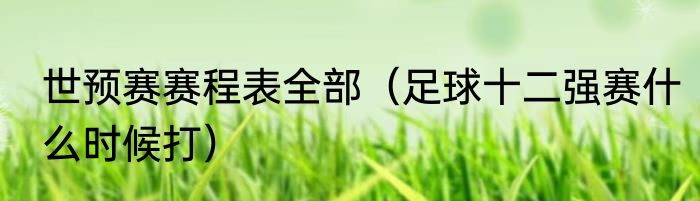 世预赛赛程表全部（足球十二强赛什么时候打）