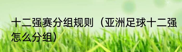 十二强赛分组规则(亚洲足球十二强怎么分组)