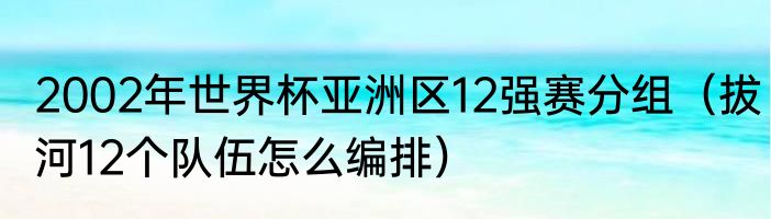 2002年世界杯亚洲区12强赛分组（拔河12个队伍怎么编排）