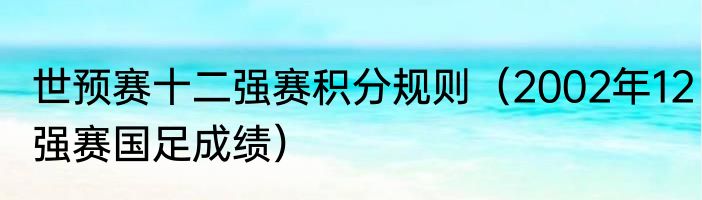 世预赛十二强赛积分规则（2002年12强赛国足成绩）