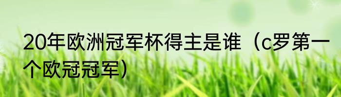 20年欧洲冠军杯得主是谁（c罗第一个欧冠冠军）