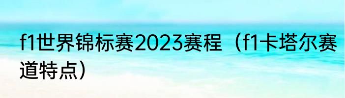 f1世界锦标赛2023赛程（f1卡塔尔赛道特点）