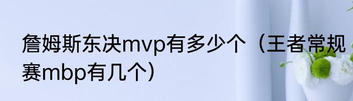 詹姆斯东决mvp有多少个（王者常规赛mbp有几个）