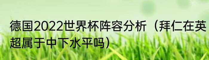 德国2022世界杯阵容分析（拜仁在英超属于中下水平吗）