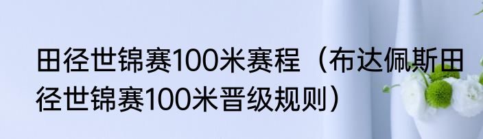 田径世锦赛100米赛程（布达佩斯田径世锦赛100米晋级规则）