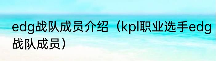 edg战队成员介绍（kpl职业选手edg战队成员）