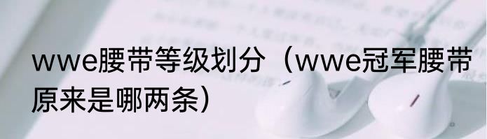 wwe腰带等级划分（wwe冠军腰带原来是哪两条）