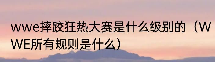 wwe摔跤狂热大赛是什么级别的（WWE所有规则是什么）