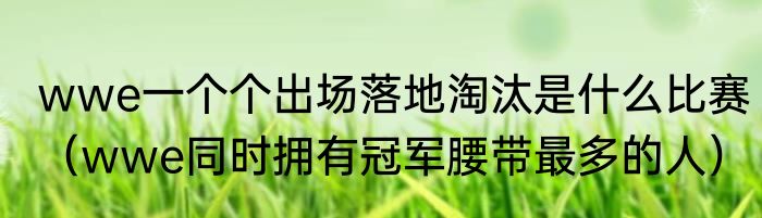 wwe一个个出场落地淘汰是什么比赛（wwe同时拥有冠军腰带最多的人）