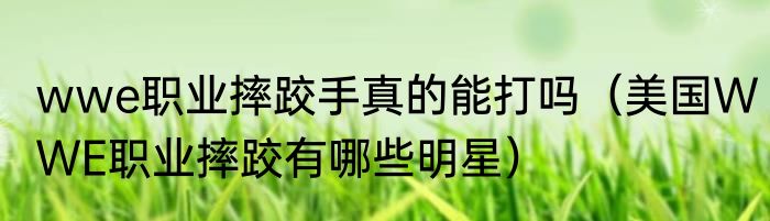 wwe职业摔跤手真的能打吗（美国WWE职业摔跤有哪些明星）
