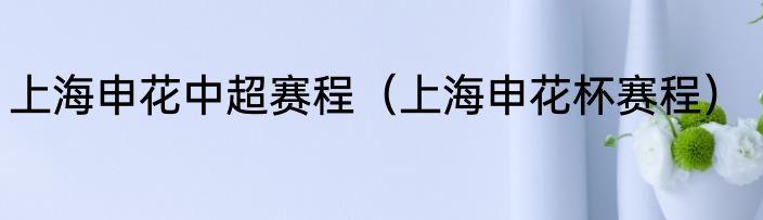上海申花中超赛程（上海申花杯赛程）