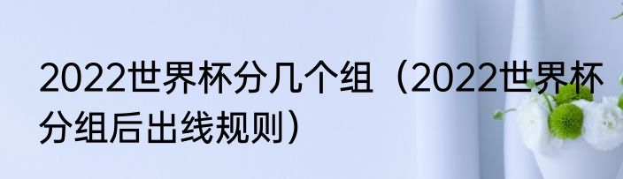 2022世界杯分几个组（2022世界杯分组后出线规则）