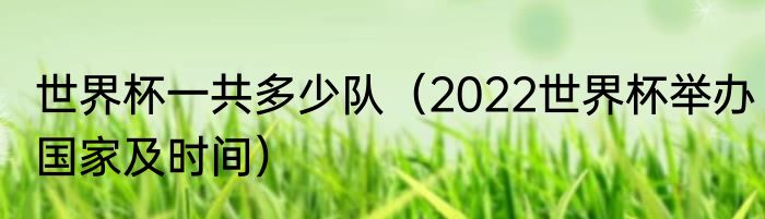 世界杯一共多少队（2022世界杯举办国家及时间）