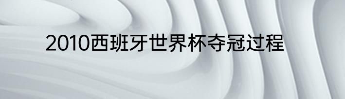 2010西班牙世界杯夺冠过程