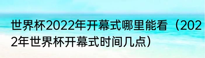 世界杯2022年开幕式哪里能看（2022年世界杯开幕式时间几点）
