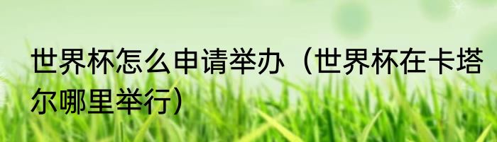 世界杯怎么申请举办（世界杯在卡塔尔哪里举行）