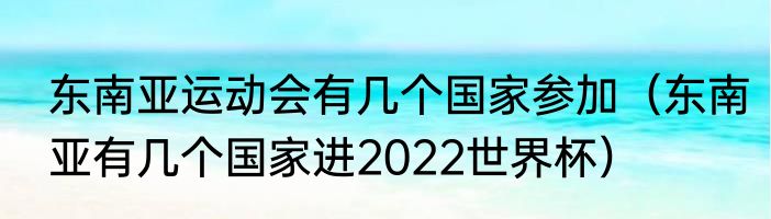 东南亚运动会有几个国家参加（东南亚有几个国家进2022世界杯）