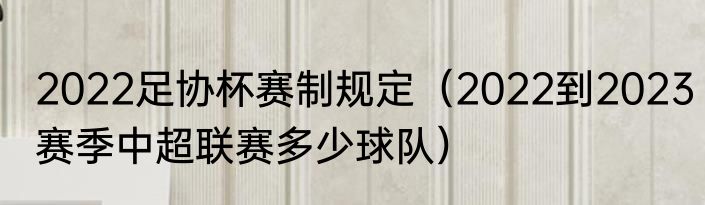 2022足协杯赛制规定（2022到2023赛季中超联赛多少球队）