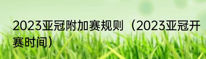 2023亚冠附加赛规则（2023亚冠开赛时间）