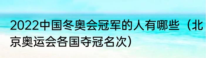 2022中国冬奥会冠军的人有哪些（北京奥运会各国夺冠名次）