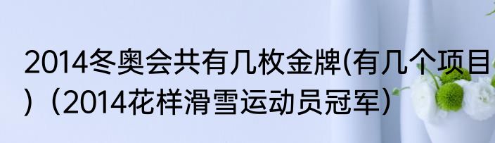 2014冬奥会共有几枚金牌(有几个项目)（2014花样滑雪运动员冠军）