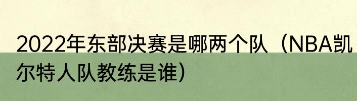 2022年东部决赛是哪两个队（NBA凯尔特人队教练是谁）