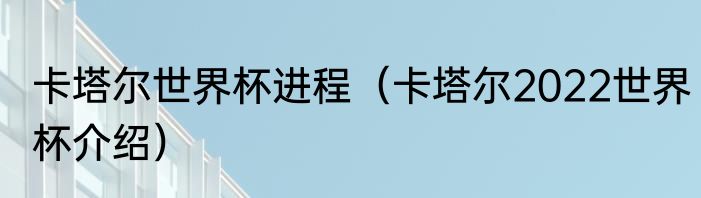 卡塔尔世界杯进程（卡塔尔2022世界杯介绍）
