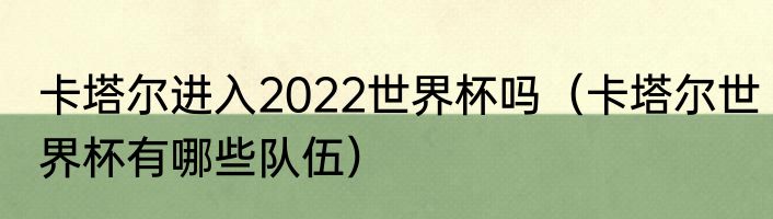 卡塔尔进入2022世界杯吗（卡塔尔世界杯有哪些队伍）