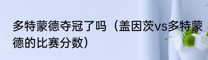 多特蒙德夺冠了吗（盖因茨vs多特蒙德的比赛分数）